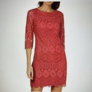 Jessica Howard Lace Boatneck Sheath Dress. Long Sleeved. Size 16W. NWT